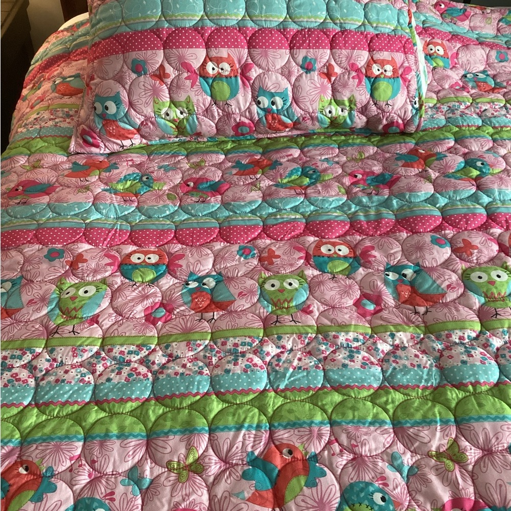 Girls Pink Owl Reversible Colorful Owl Comforter Sets  (2)